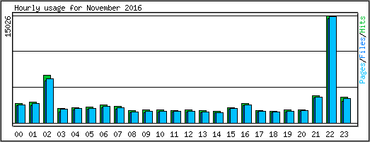 Hourly usage