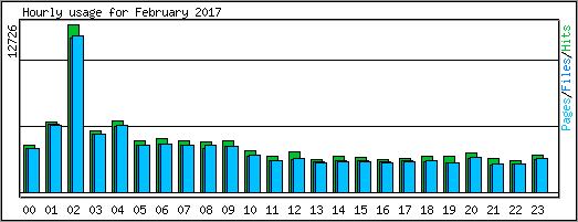 Hourly usage