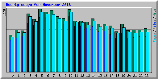 Hourly usage for November 2013
