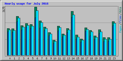 Hourly usage for July 2016
