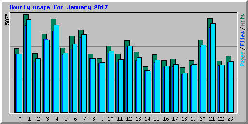 Hourly usage for January 2017