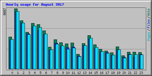 Hourly usage for August 2017